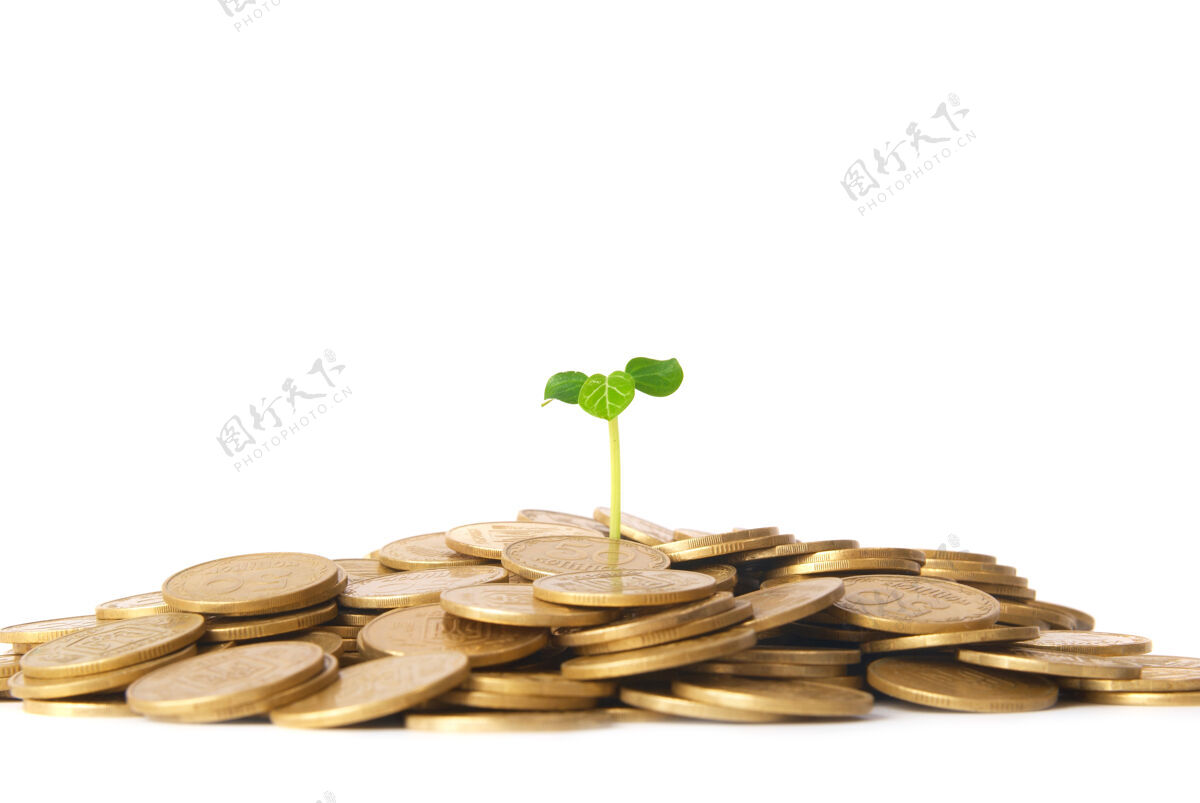 树叶绿色植物硬币钱财务概念银行金融现金