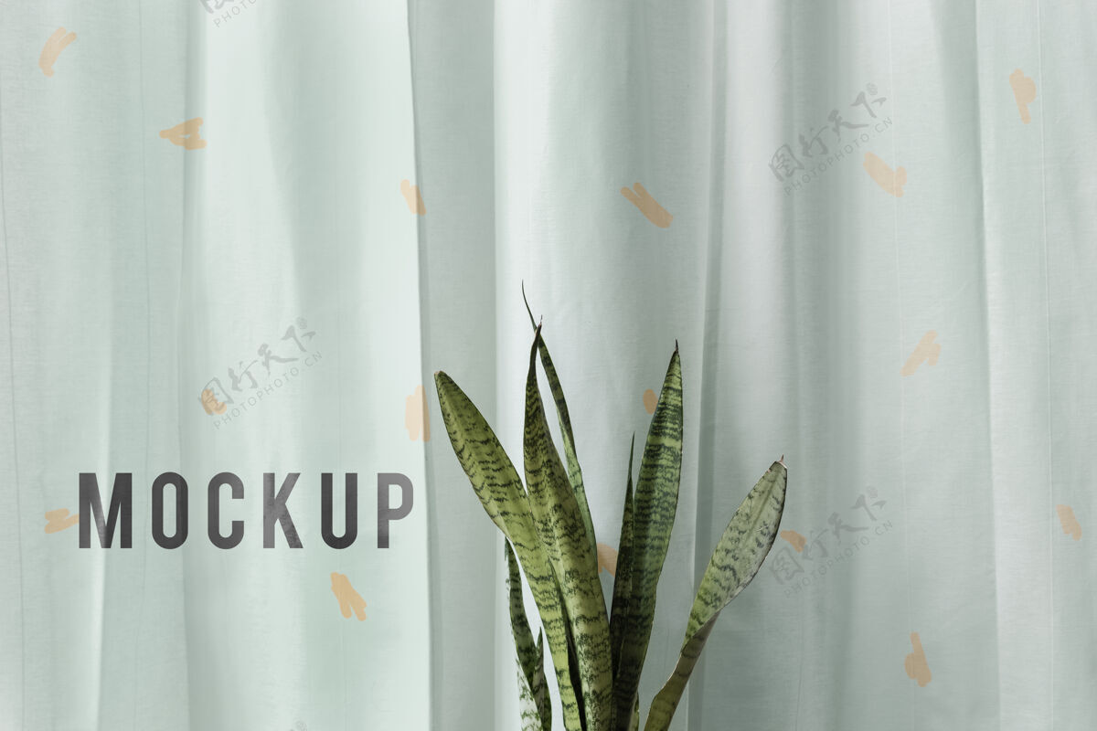 房间新鲜的蛇在一个白色窗帘前植物模型窗帘文字热带