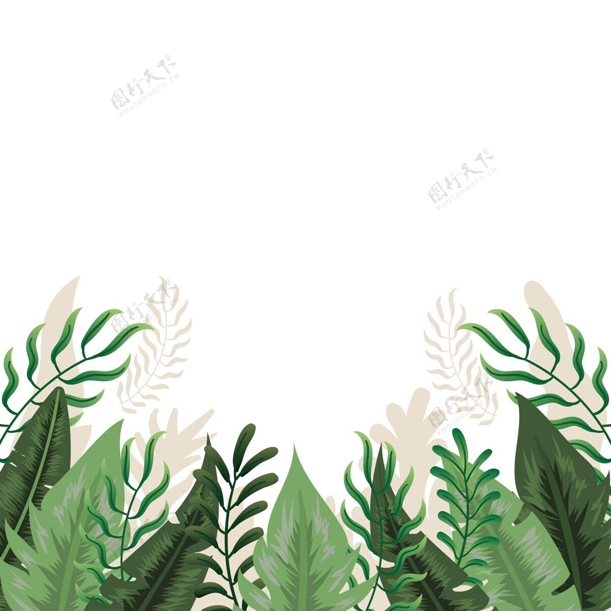 平面设计平坦的热带树叶背景背景夏天墙纸