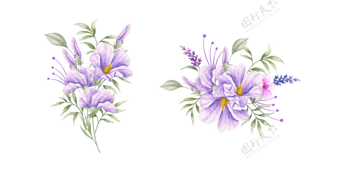 水彩画紫野春花叶花束套装布景布置手绘