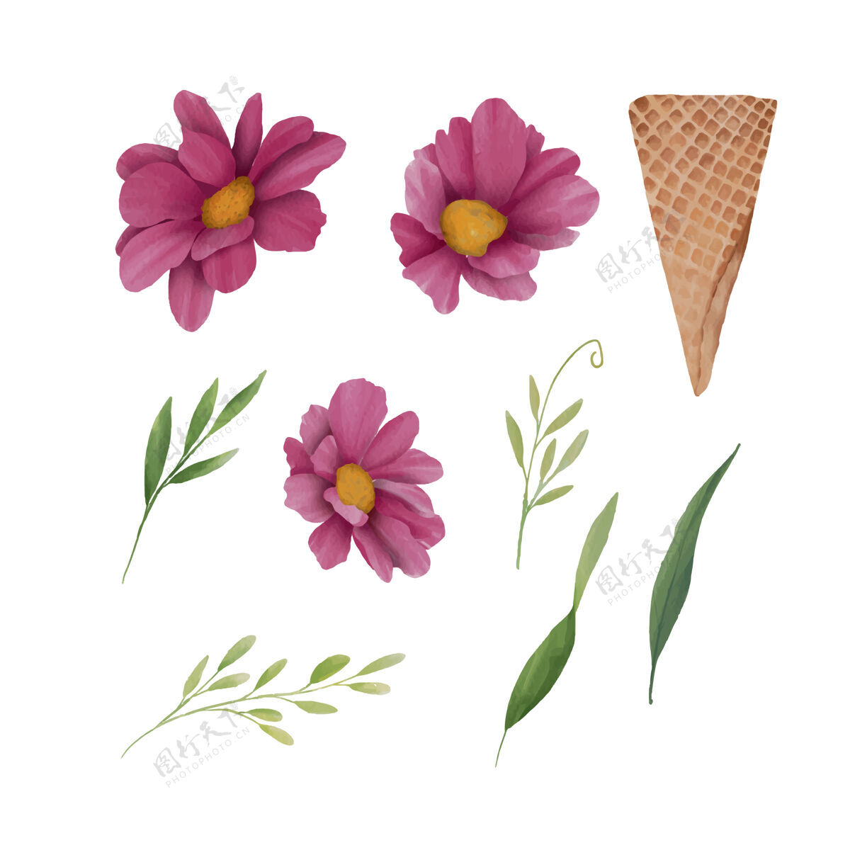 花束水彩花卉元素和圆片冰淇淋筒绘画甜点花卉