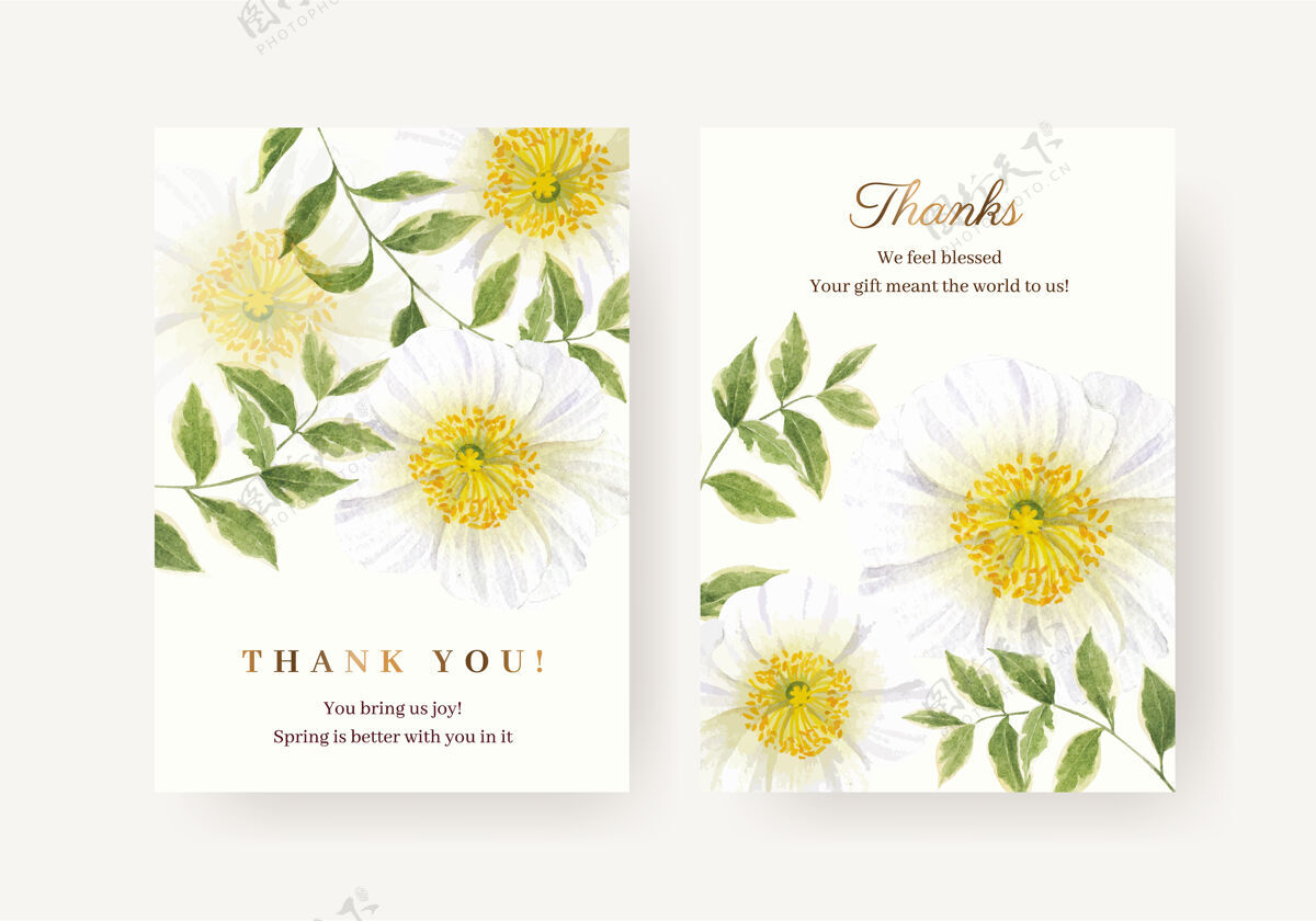 美丽感谢卡模板与春光概念水彩插画花卉夏天银莲花