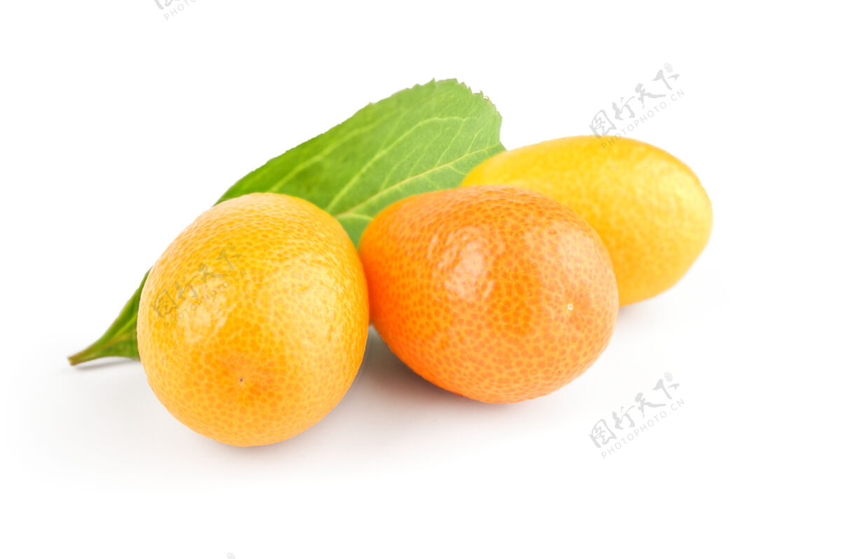天然三个新鲜水果金橘和绿叶隔离水果金橘健康