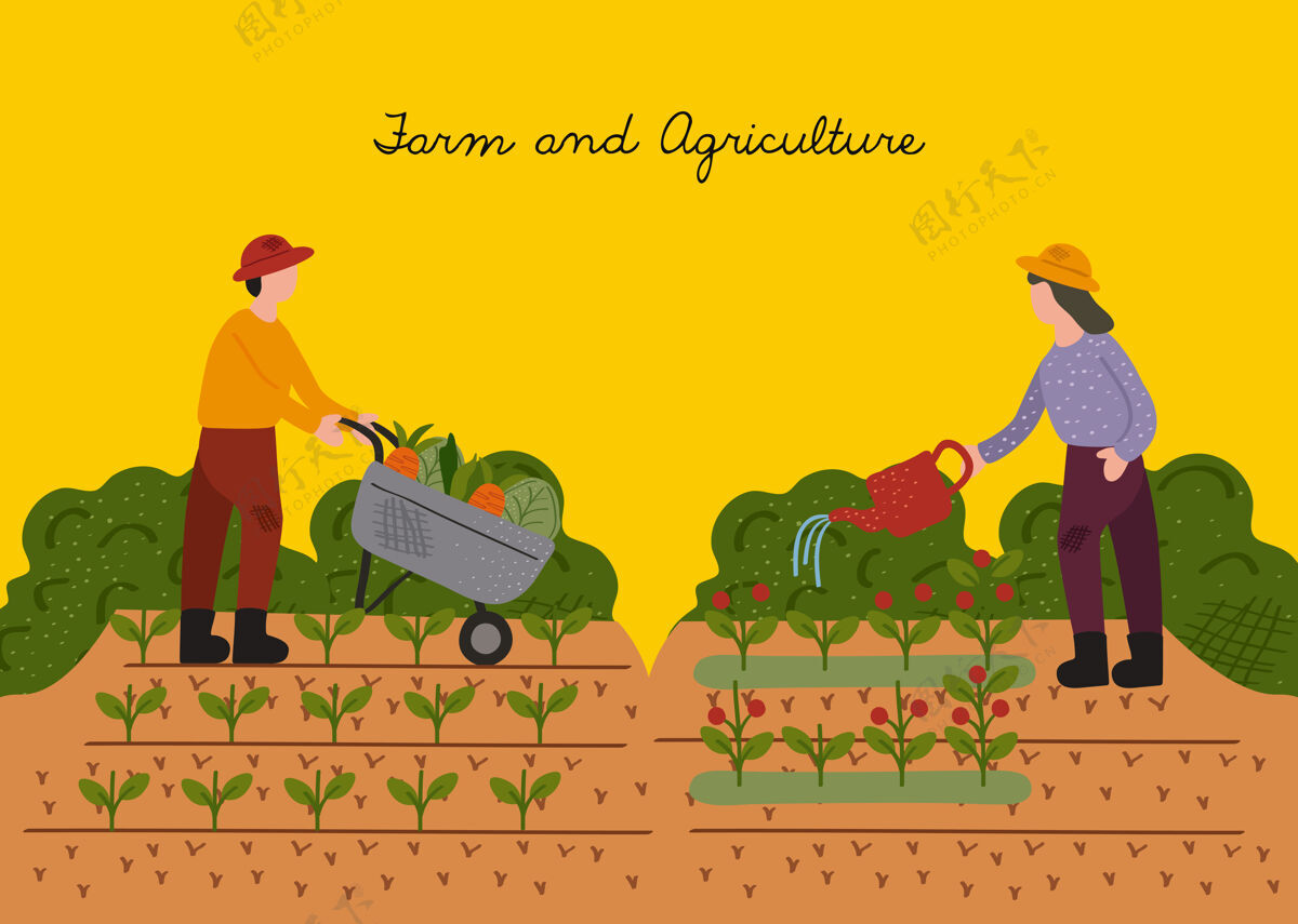 自然农家夫妻在文化现场做矢量插画设计蔬菜农业女性