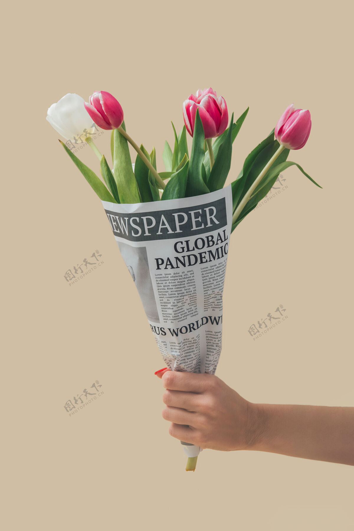 郁金香春天的郁金香花在报纸上包裹着全球大流行的标题世界冠状病毒新闻