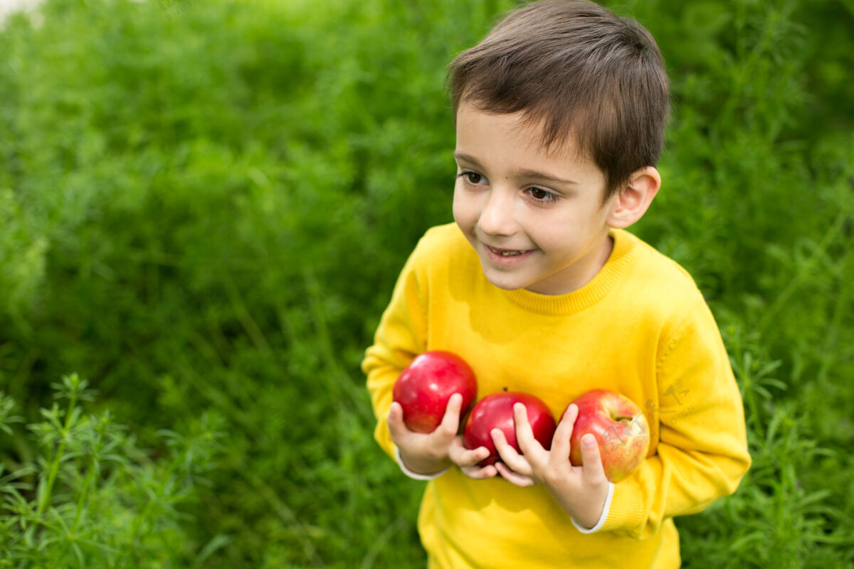水果可爱的小男孩在阳光明媚的草地上摘苹果白天健康营养新鲜野餐花园