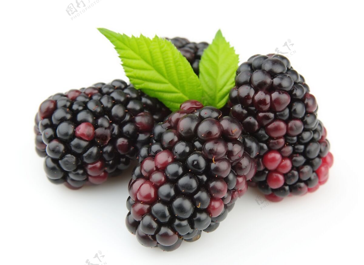 水果甜果汁黑莓健康的果汁黑莓