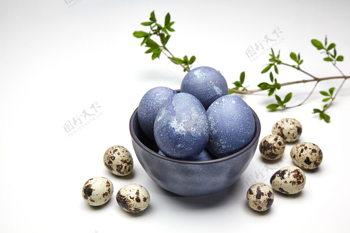传统在一个碗里画了鸡和鹌鹑蛋 还有一根绿叶树枝复活节彩蛋碗季节