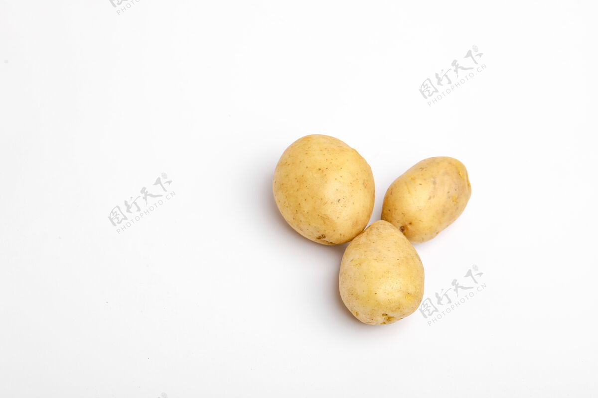 农业土豆是孤立的未烤的马铃薯蔬菜