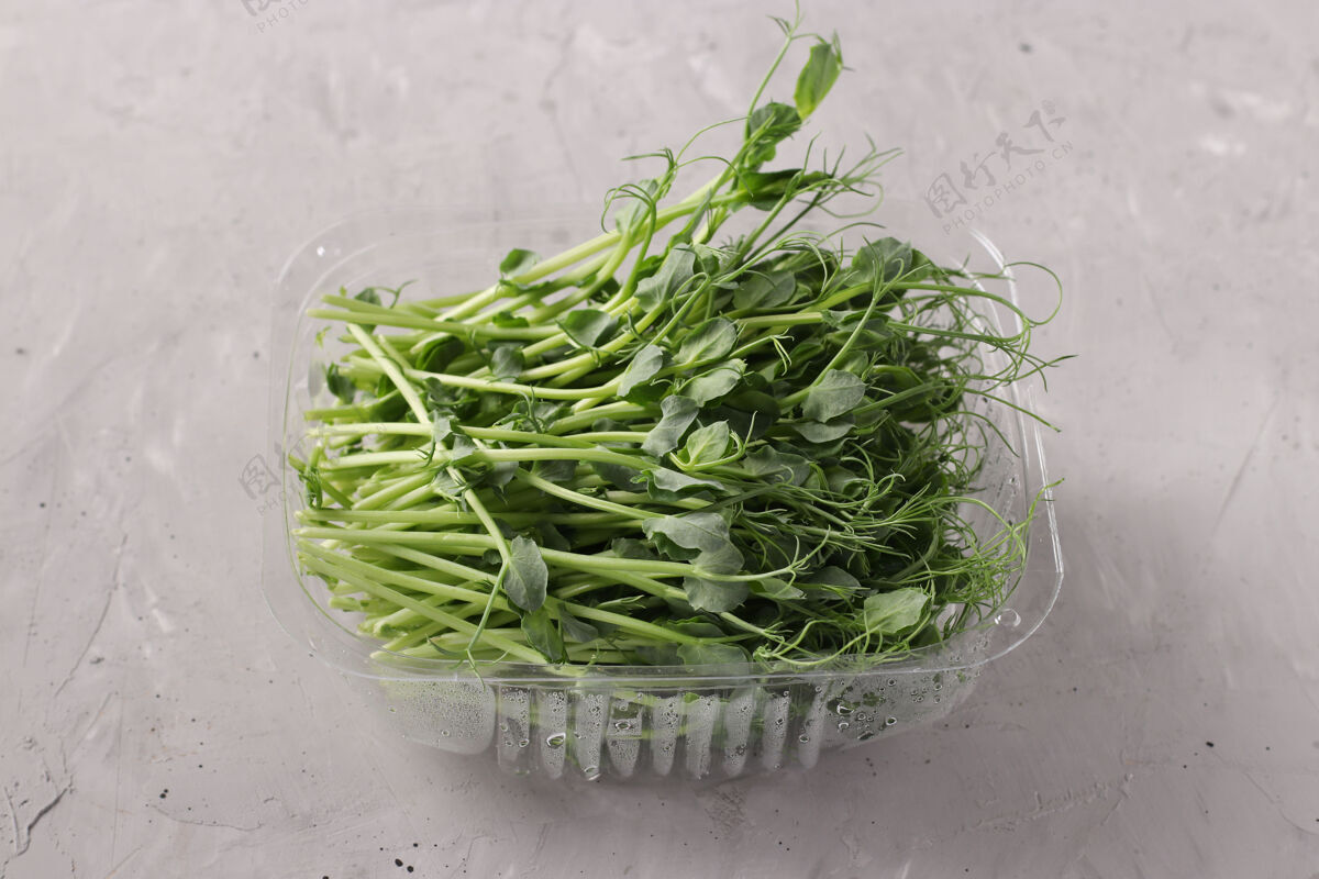 蔬菜豌豆微绿位于一个塑料容器上的灰色表面 特写 水平格式健康植物微绿色