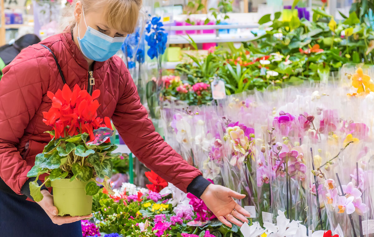 零售一个女人在花店的花盆里挑选一朵花兰花爱好面具
