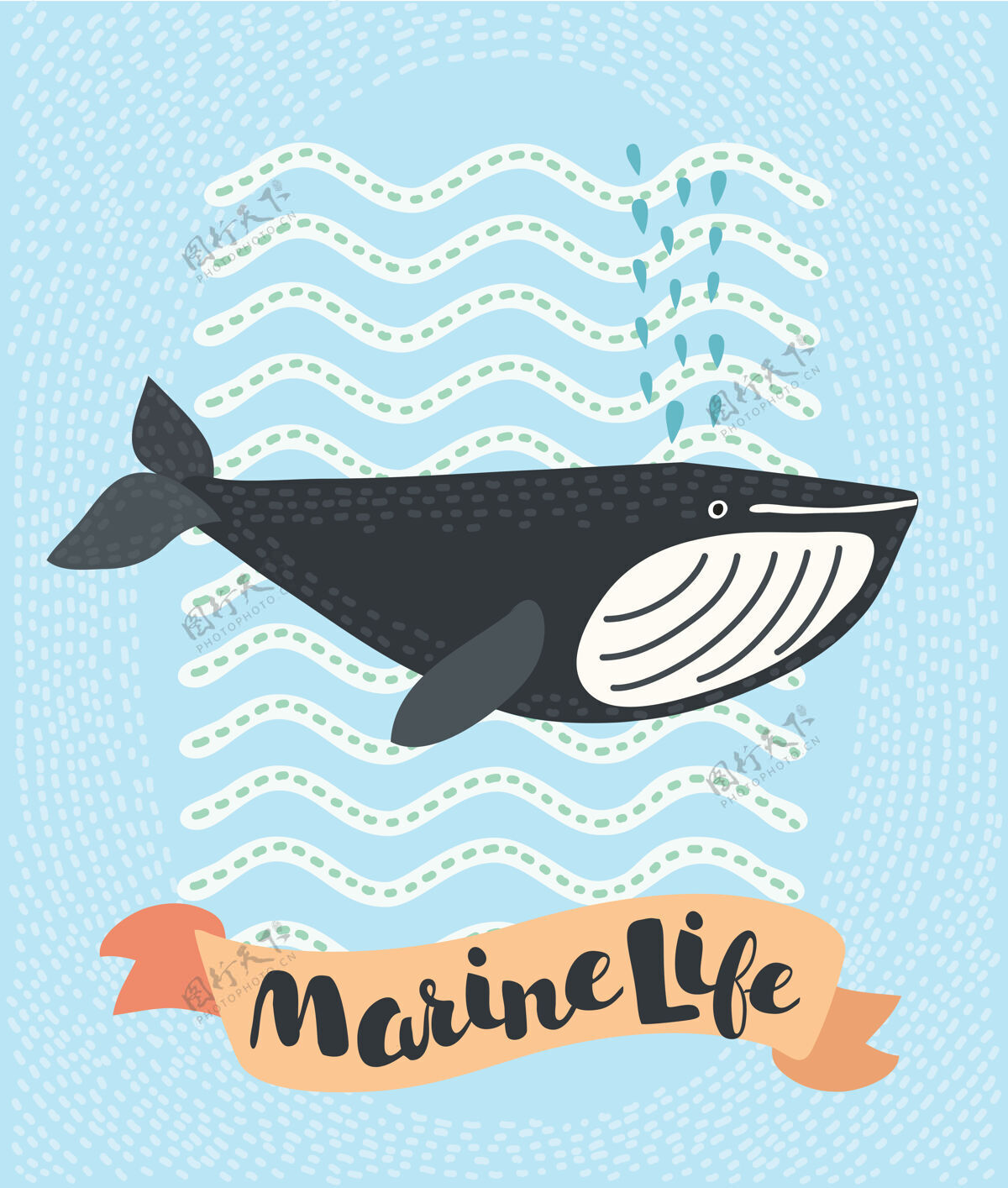 人物鲸鱼微笑涂鸦插图卡通哺乳动物海洋