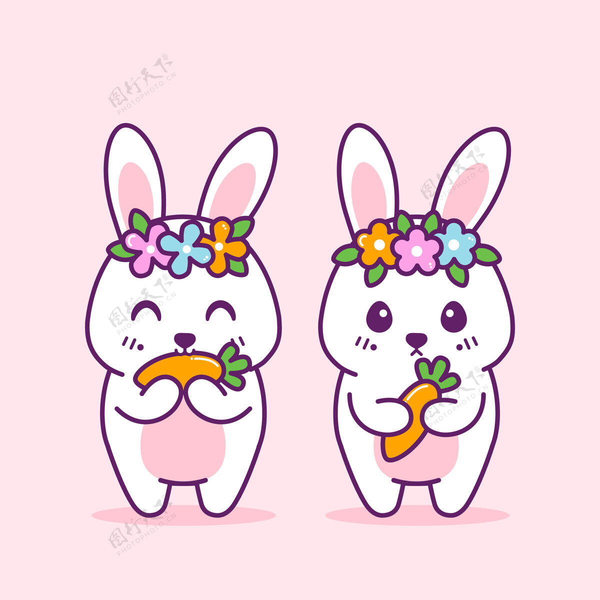 表情可爱的兔子带上胡萝卜和粉红色的花花叶耳朵