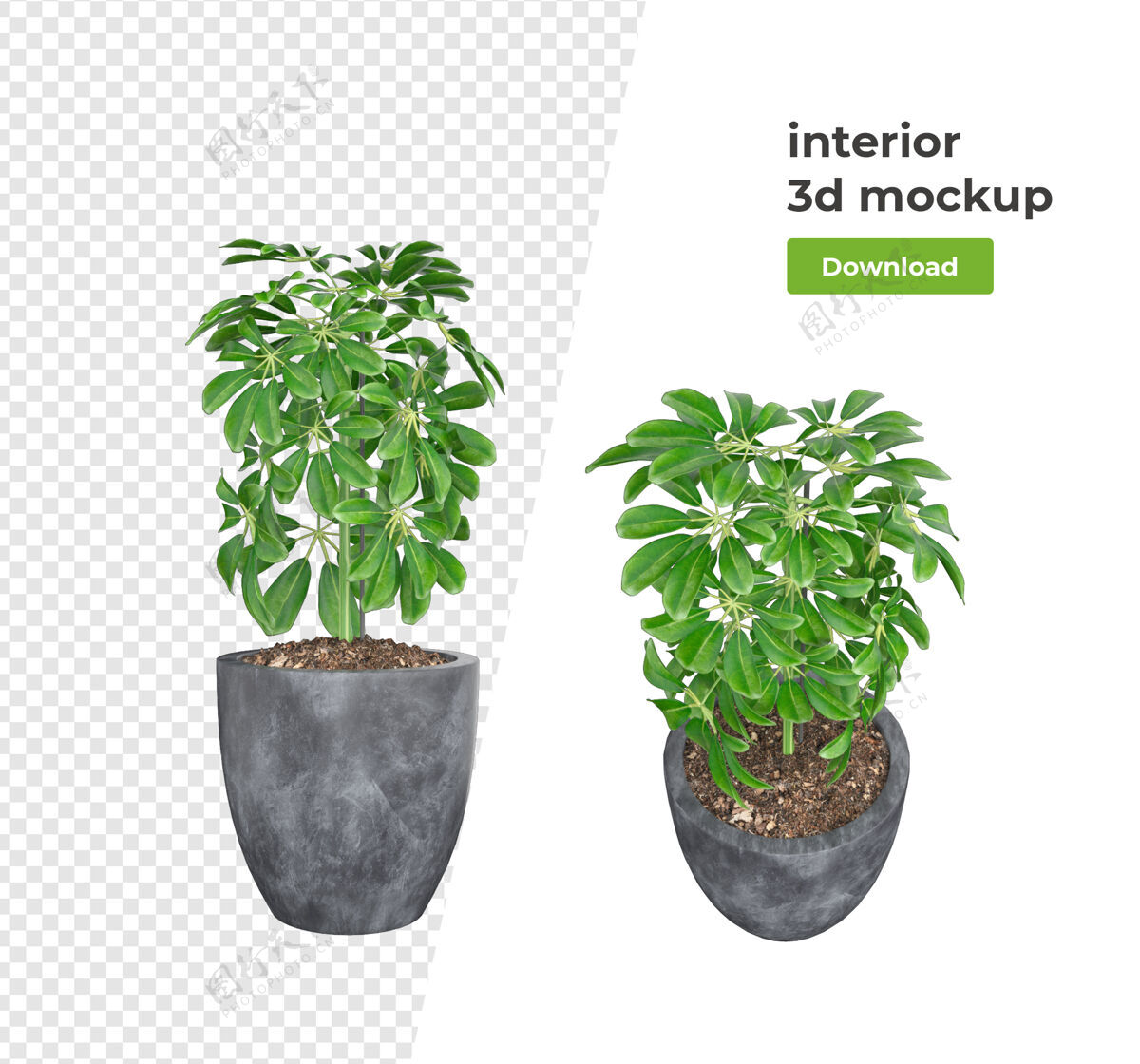 植物各种植物装饰3d渲染隔离花盆装饰场景创作者