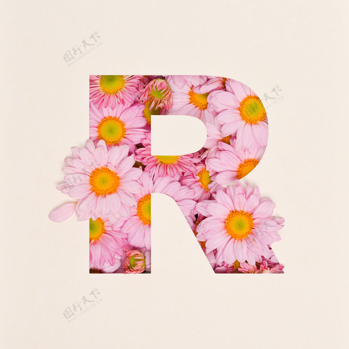 字符字体设计 抽象字母字体与粉红色的花 现实的花卉排版-r植物花瓣装饰