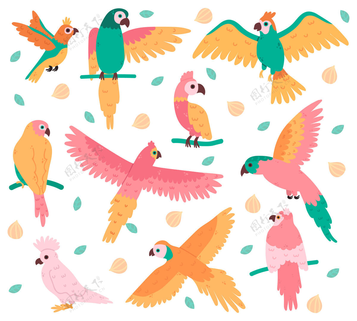 旅游热带鹦鹉丛林五颜六色的鸟 可爱的凤头鹦鹉 雅科和虎皮鹦鹉热带动物学岛屿