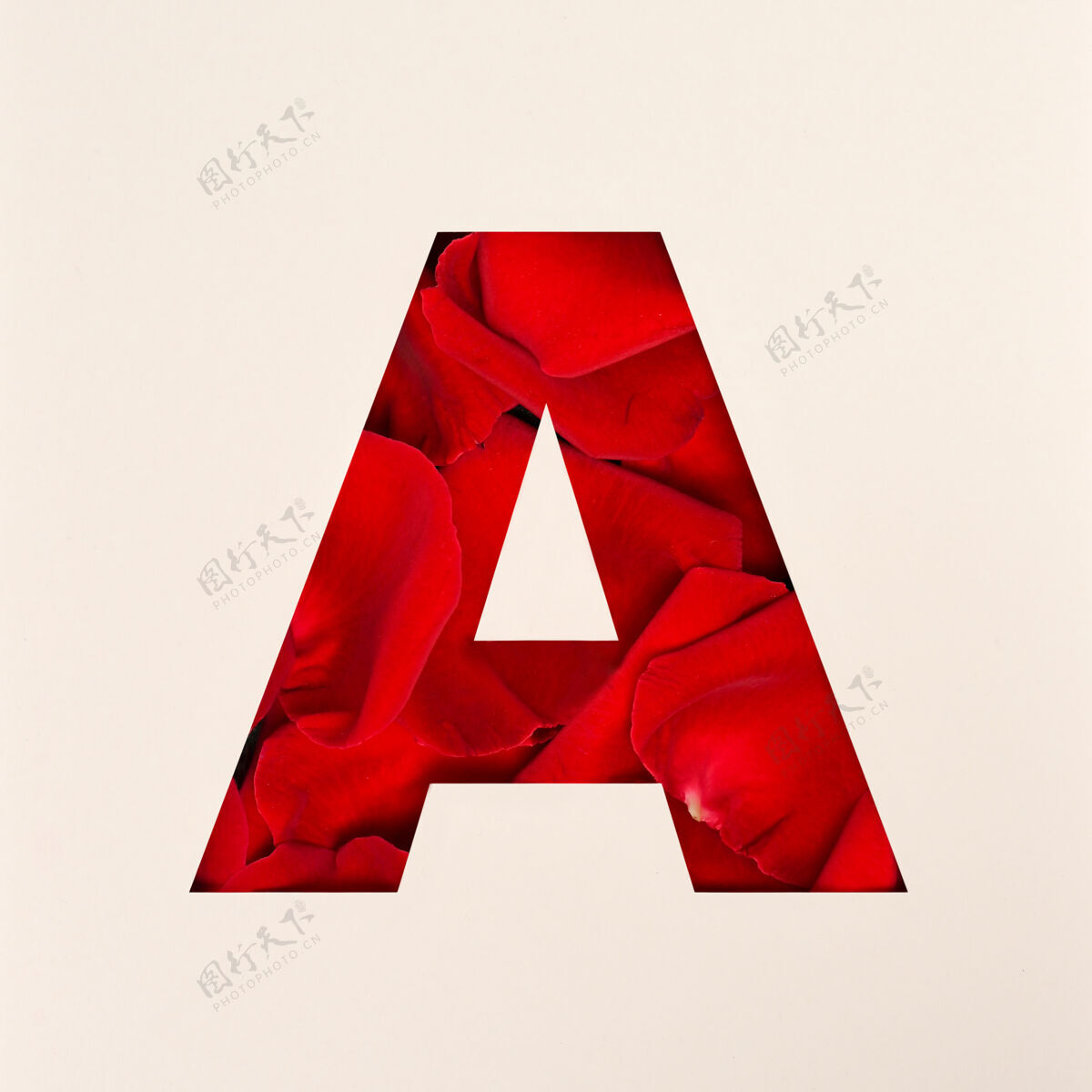 字母表字体设计 抽象的玫瑰花瓣字母字体 逼真的花卉排版-a花字母玫瑰