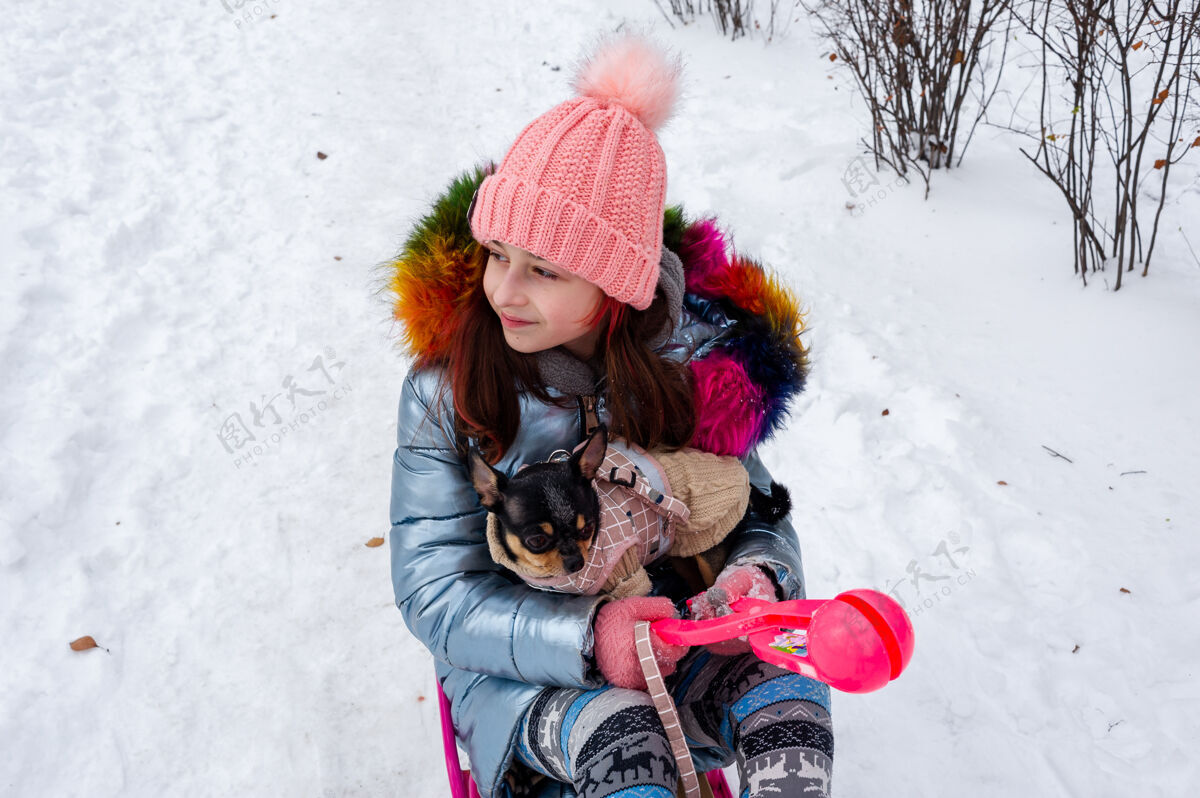 青少年美丽的女孩带着吉娃娃上了大自然一个十几岁的女孩抱着一只狗吉娃娃雪地过冬狗女孩青少年