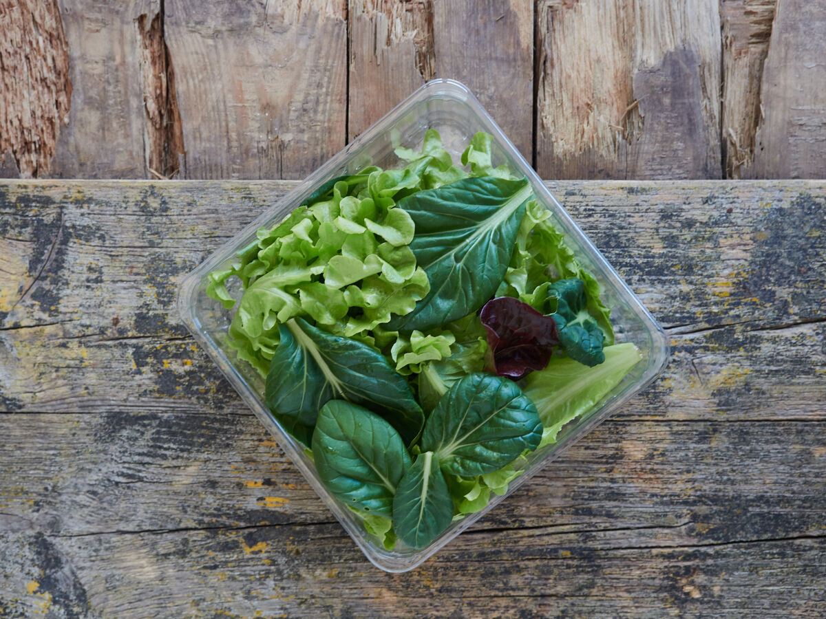 包装什锦生菜和蔬菜叶沙拉带走一个正方形的塑料包装叶一次性健康