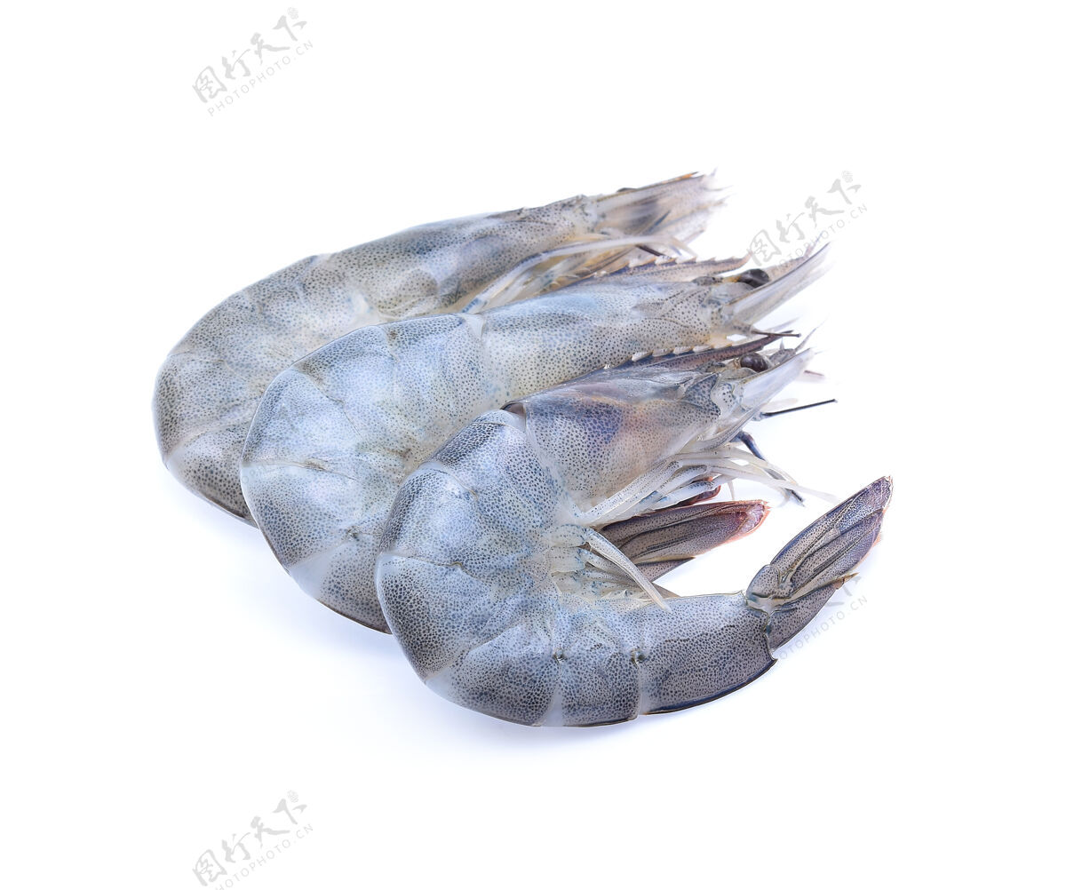 生的生虾隔离在白色白色海鲜甲壳类动物
