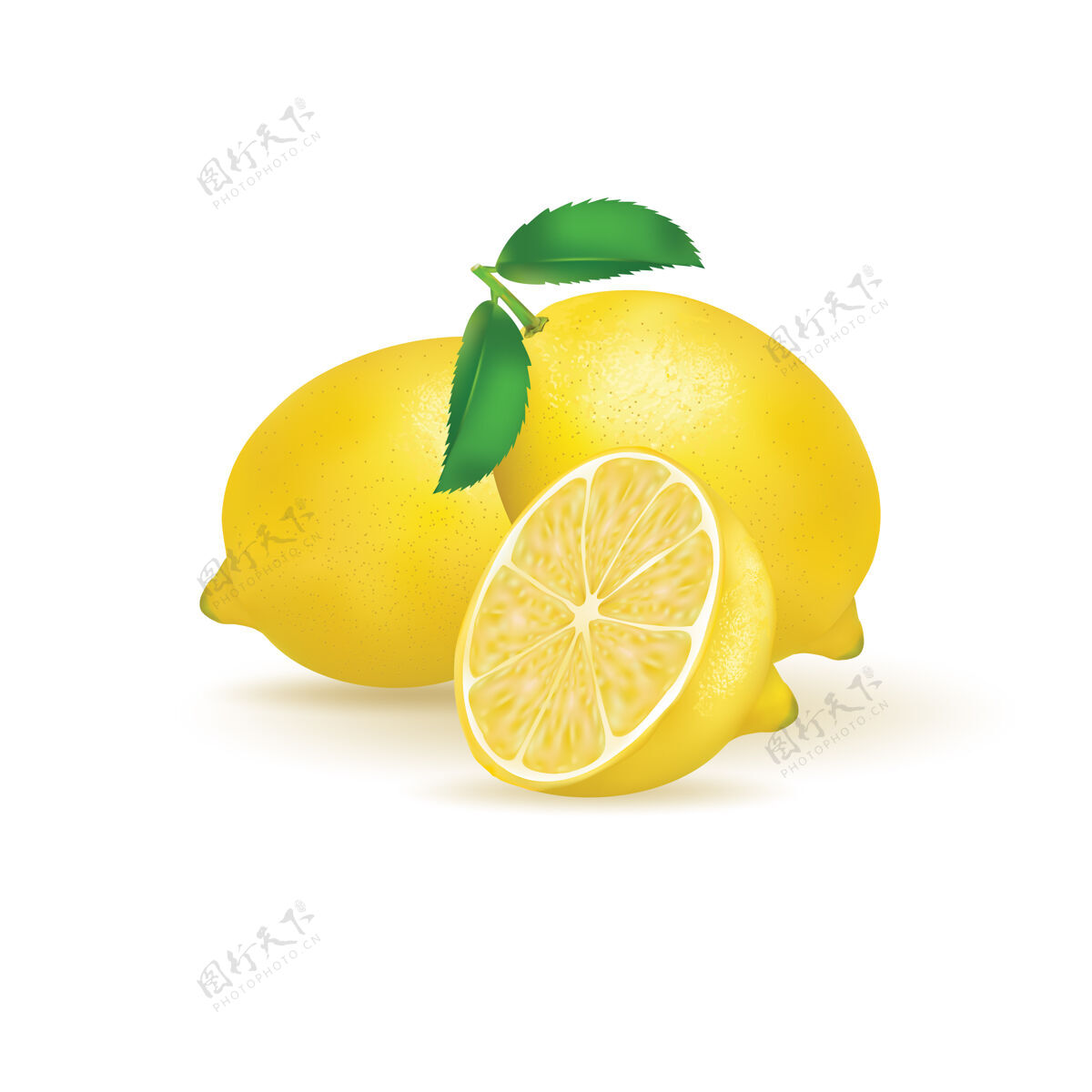 片新鲜的白柠檬成熟的酸的水果
