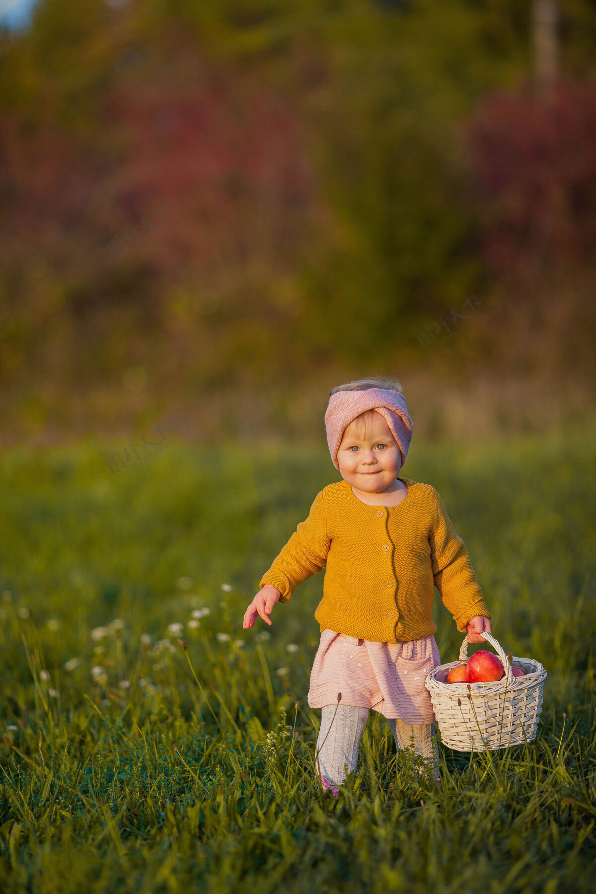 欢笑可爱的小女孩走在秋天的花园里 手里拿着一个红色的篮子苹果肖像一个快乐的女孩在明媚的秋天衣服暖和明媚的秋天白种人美丽幼儿