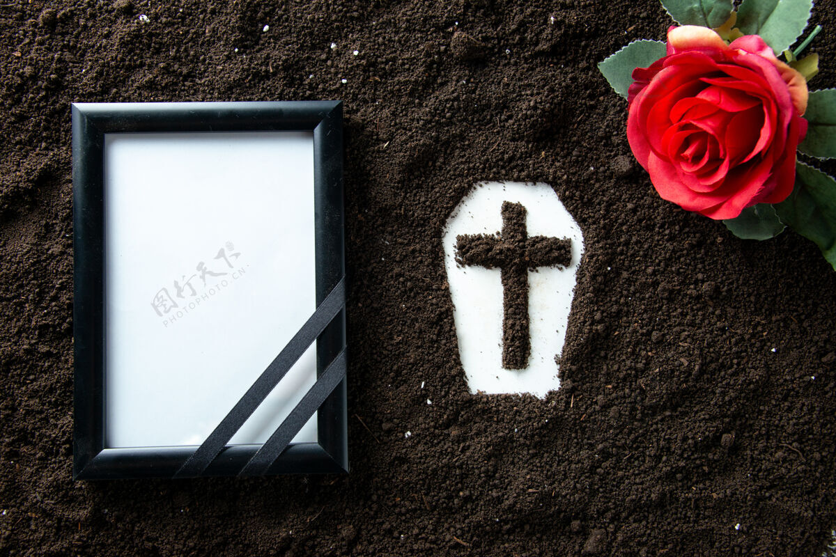 符号带相框和红花的棺材形状俯视图玫瑰红色葬礼