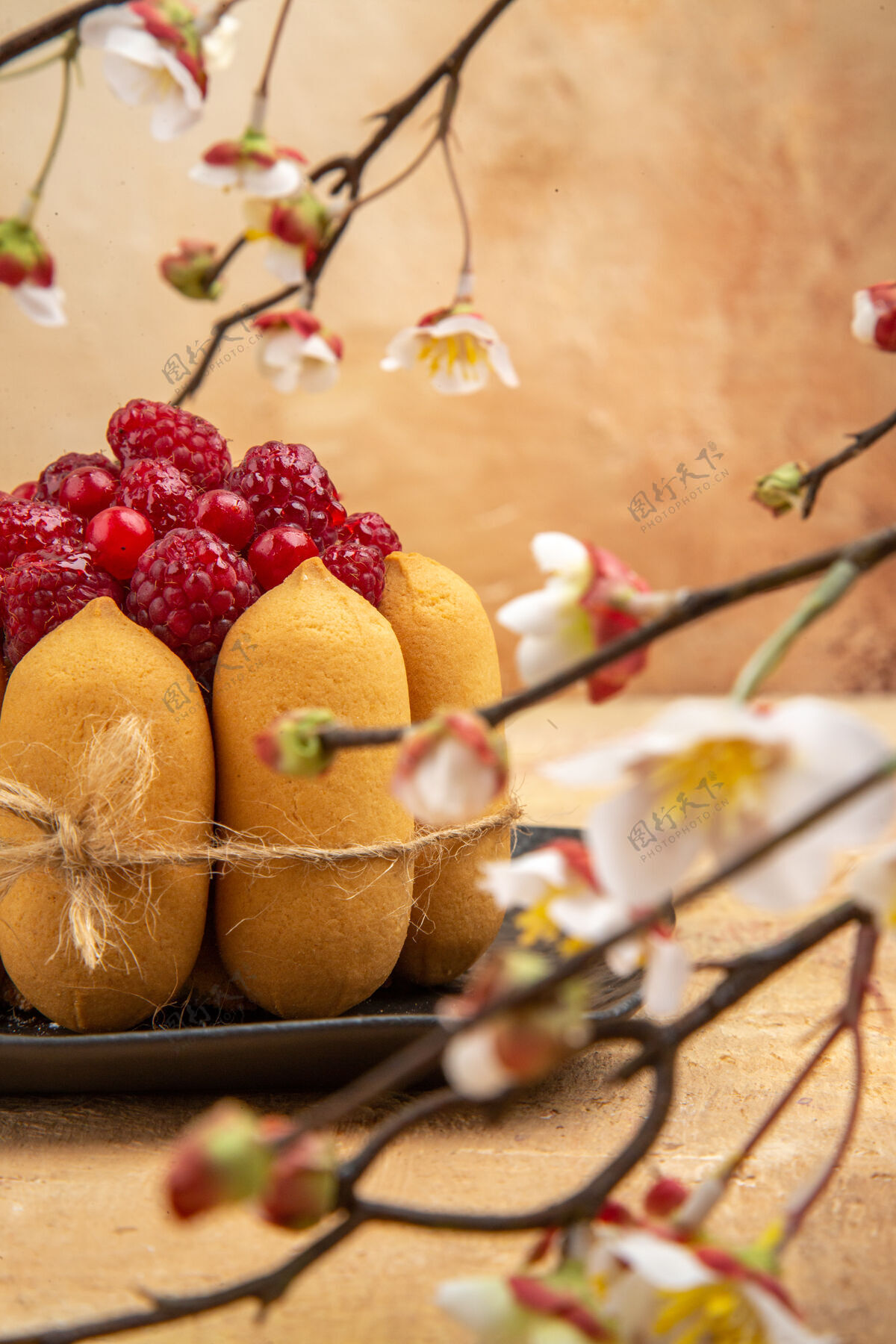 水果在混合色背景的右侧有水果的礼品蛋糕的垂直视图混合柑橘新鲜