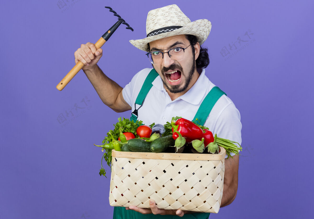 愤怒年轻的留着胡子的园丁 穿着连体衣 戴着帽子 手里拿着装满蔬菜的箱子 在蓝色的墙上摆着一个小耙子 愤怒的脸站着帽子姿势人