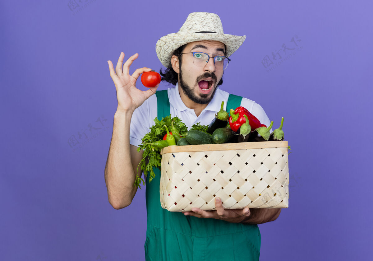 人年轻的留着胡须的园丁 穿着连体衣 戴着帽子 手里拿着装满蔬菜的板条箱 站在蓝色的墙上 新鲜的西红柿很惊讶连身衣抱着衣服