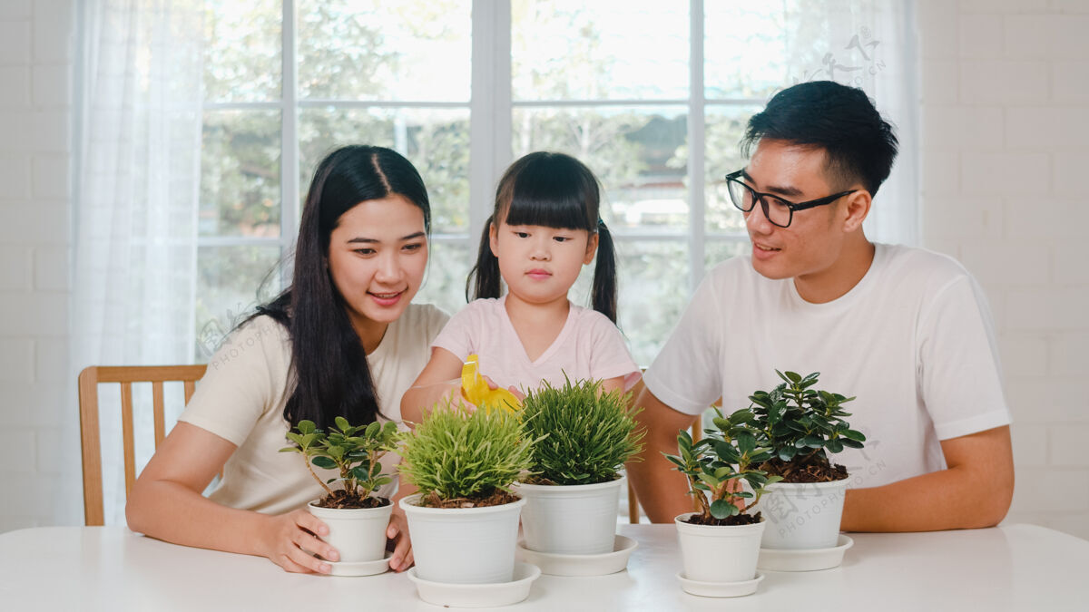 温室快乐快乐的亚洲人家庭爸爸 妈妈和女儿在家窗户附近的花园里浇花绿色房子年轻