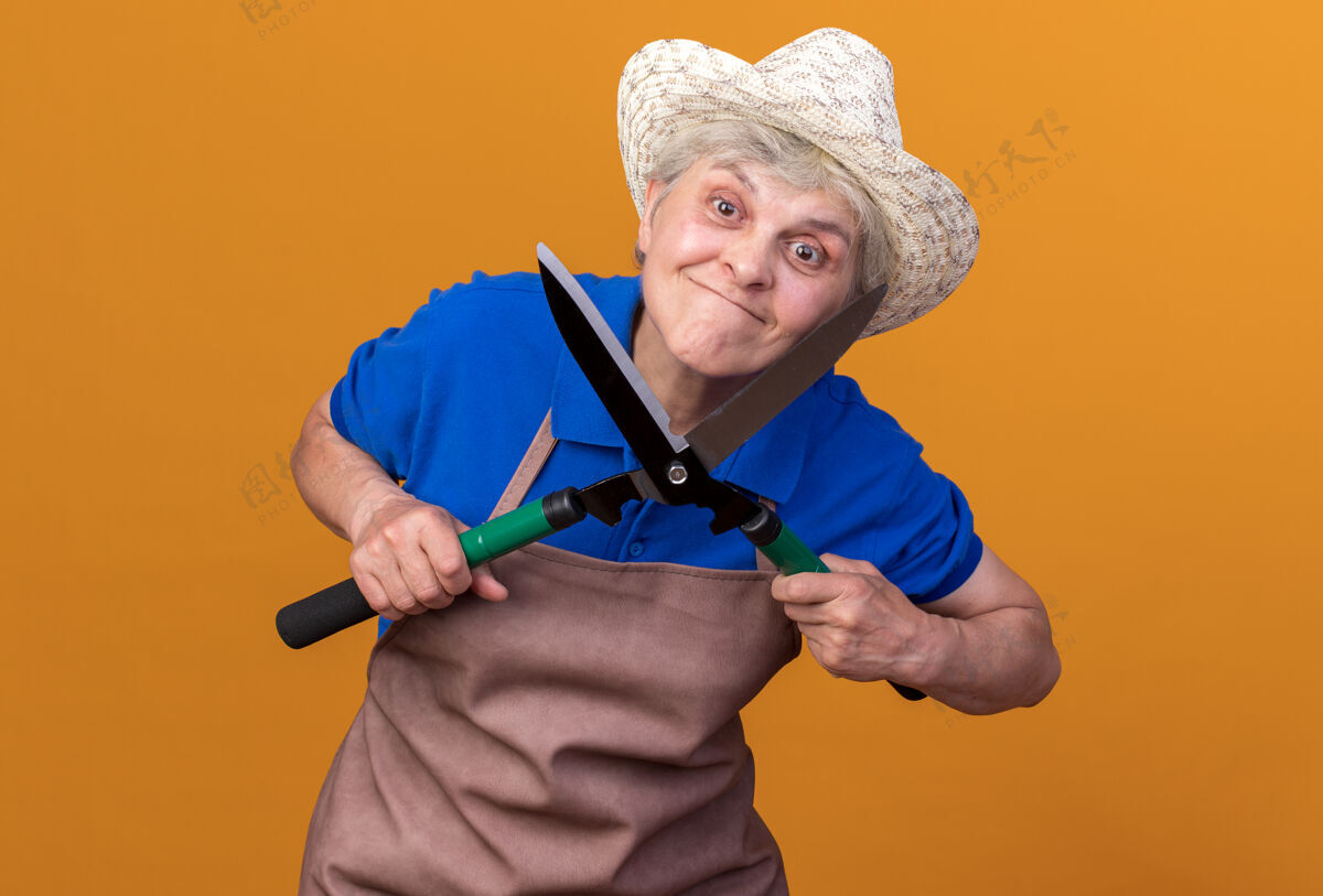 快乐快乐的上了年纪的女园丁戴着园艺帽拿着园艺剪刀放在桔子上园艺剪刀帽子