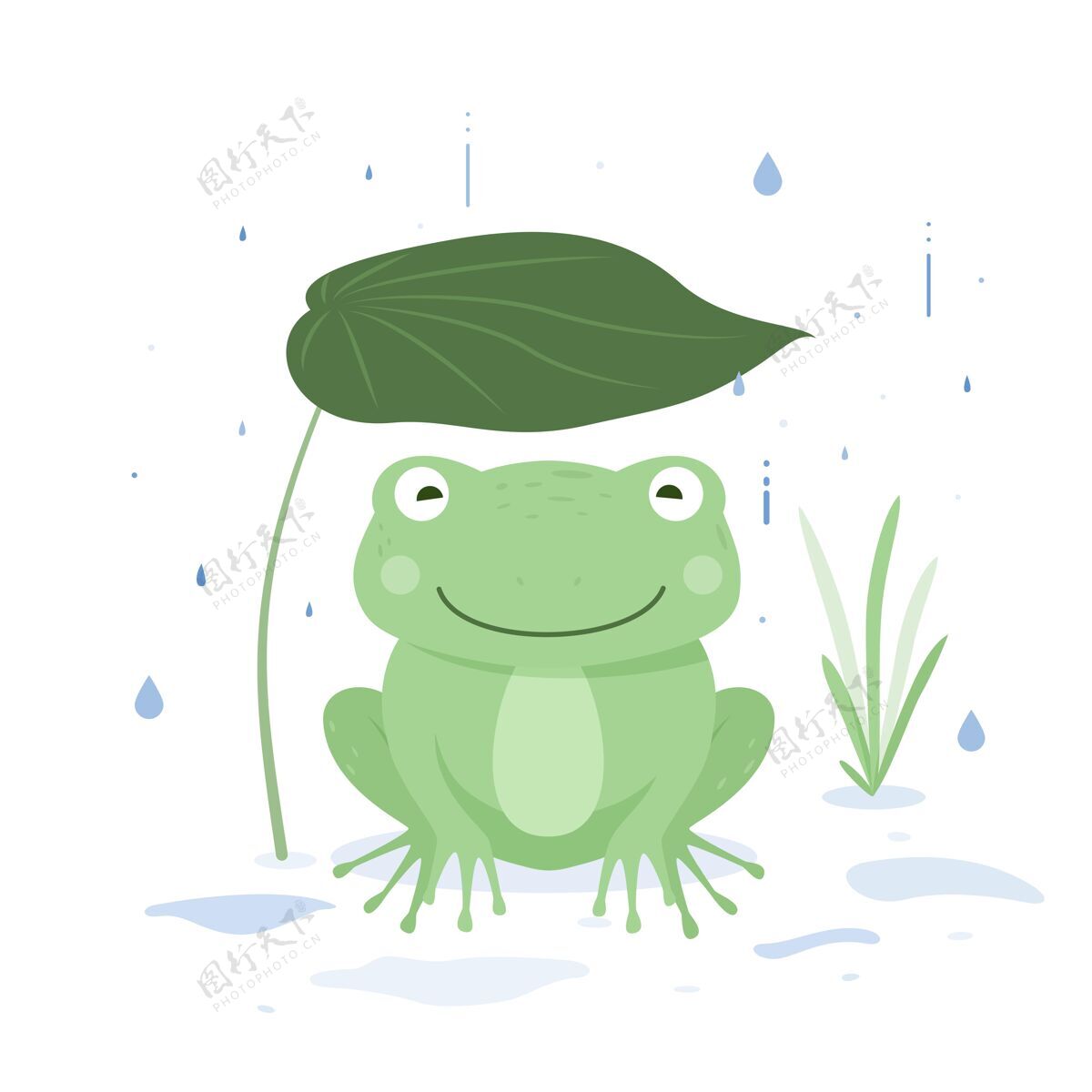 平面设计可爱的平面设计青蛙插图野生平面动物