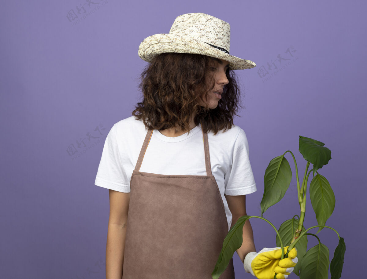 思想沉思的年轻女园丁穿着制服 戴着园艺帽和手套 抱着和看着紫色隔离的植物穿持有年轻
