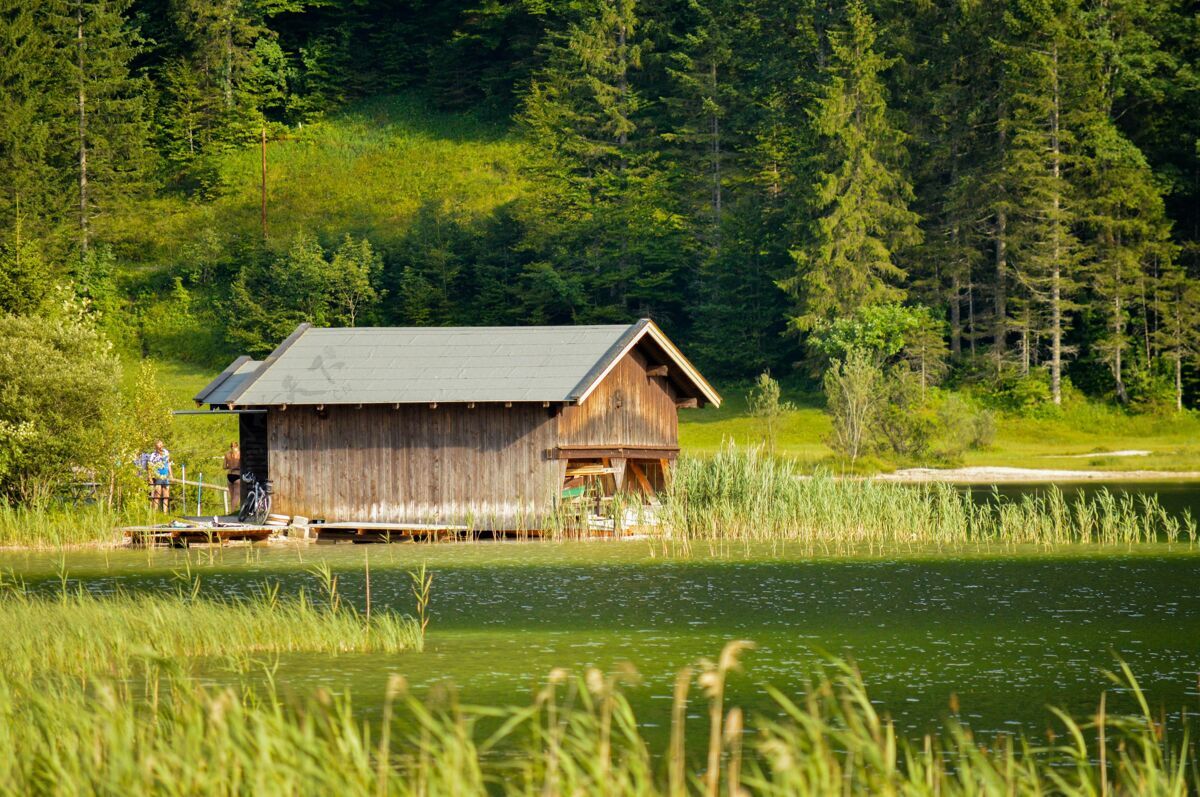 美丽绿树丛中 湖边小木屋的美丽镜头自然房子旅游