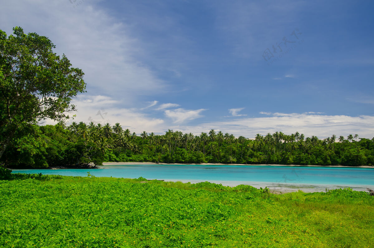 海滩在萨摩亚的萨瓦伊岛 蓝色多云的天空下 绿色植物环绕的海洋景观景观棕榈水