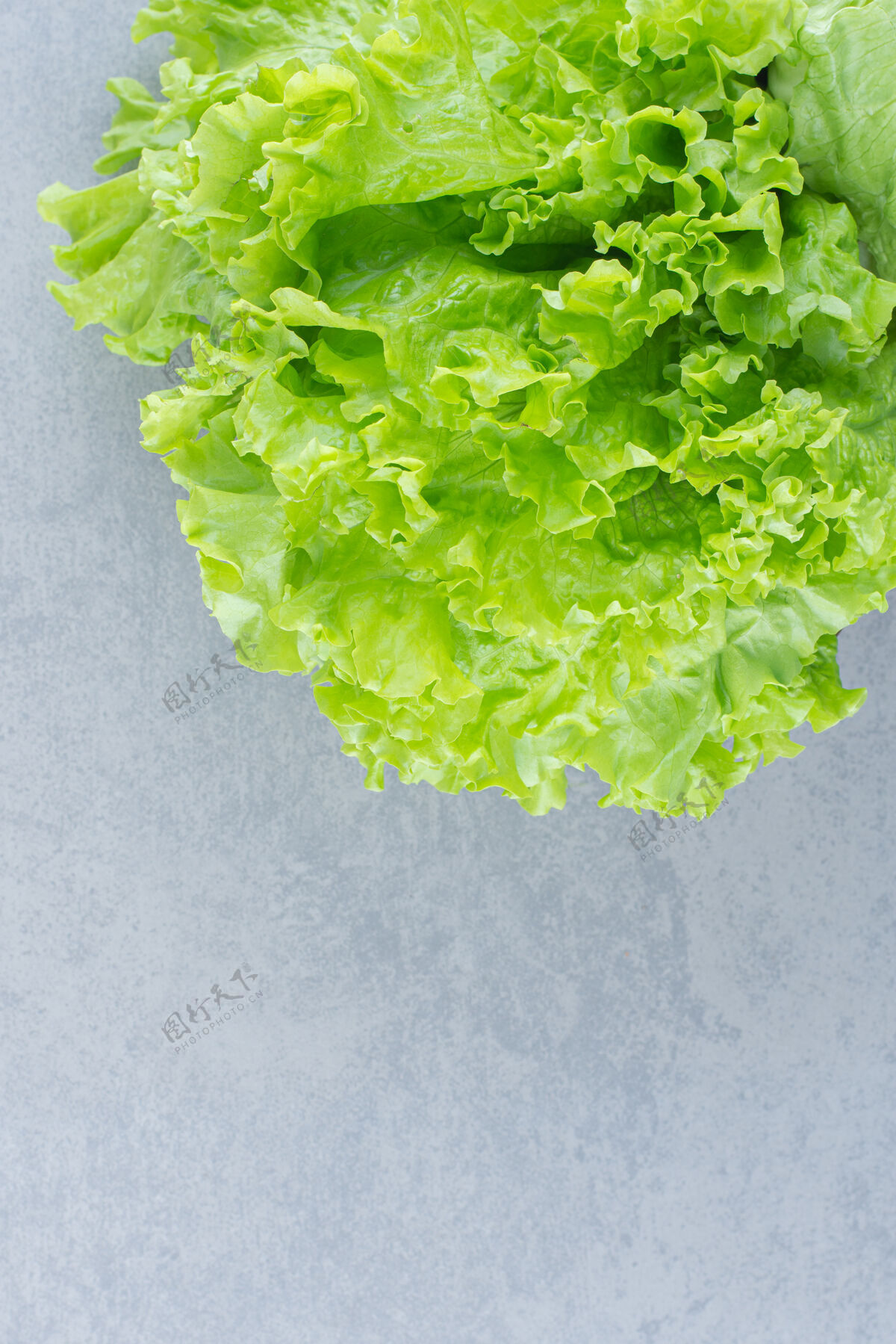 特写在灰色背景上孤立的莴苣叶子的特写照片蔬菜健康饮食