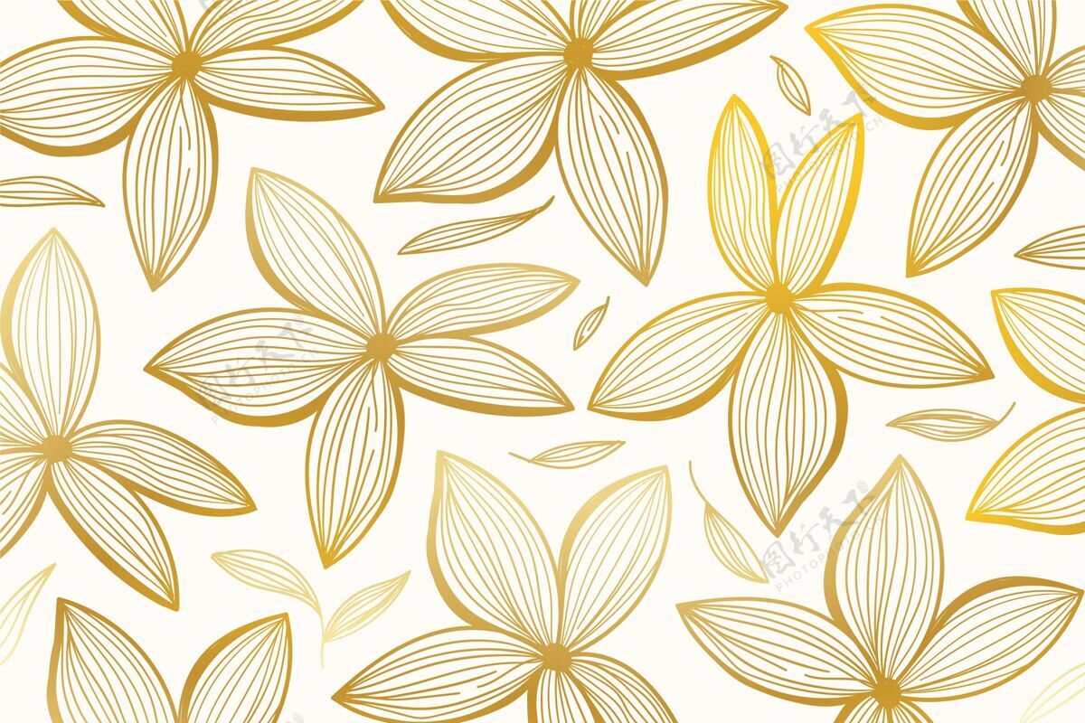 金色细节渐变的金色线性背景 美丽的花朵花卉背景金色渐变花卉