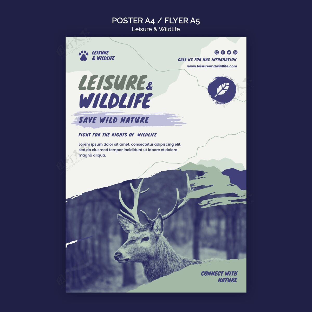 传单休闲和野生动物海报模板野生动物海报模板冒险