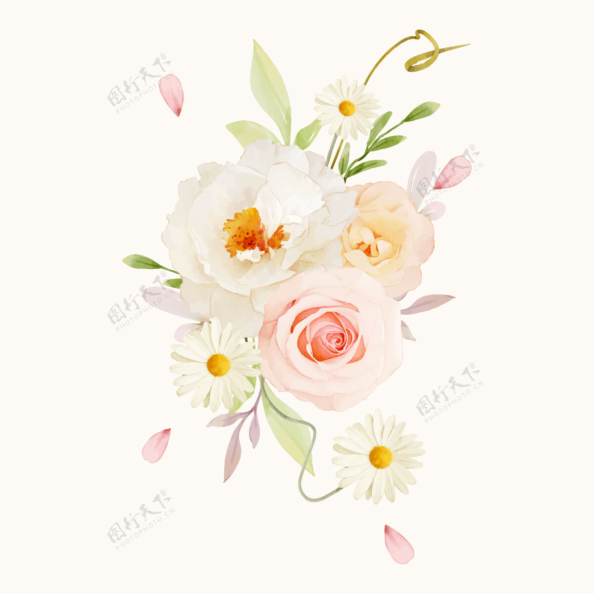 玫瑰花粉色玫瑰和白色牡丹的水彩花束安排花卉花卉