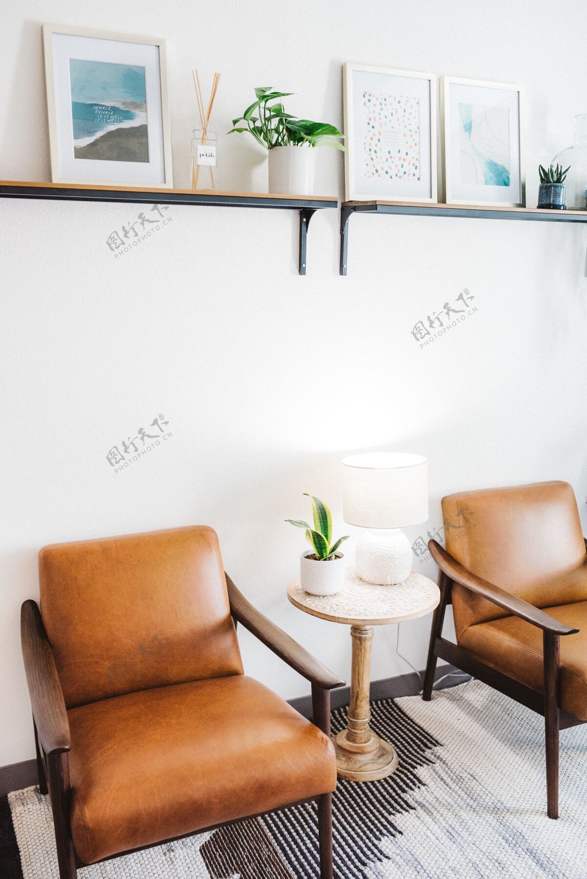 白墙垂直拍摄棕色椅子和白色的灯和一个家庭植物在一张桌子上桌子室内植物客厅