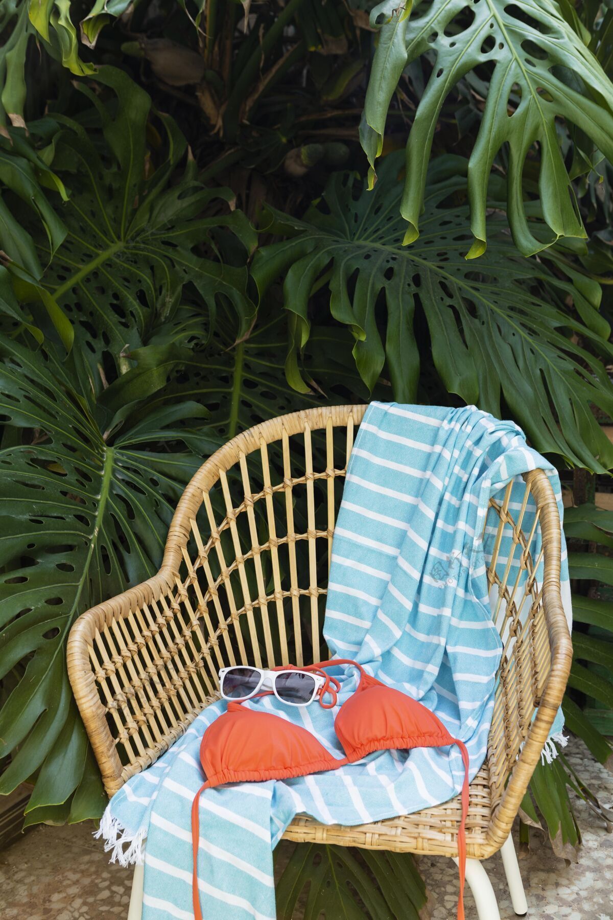 项目草椅和泳衣的布置垂直旅游物体