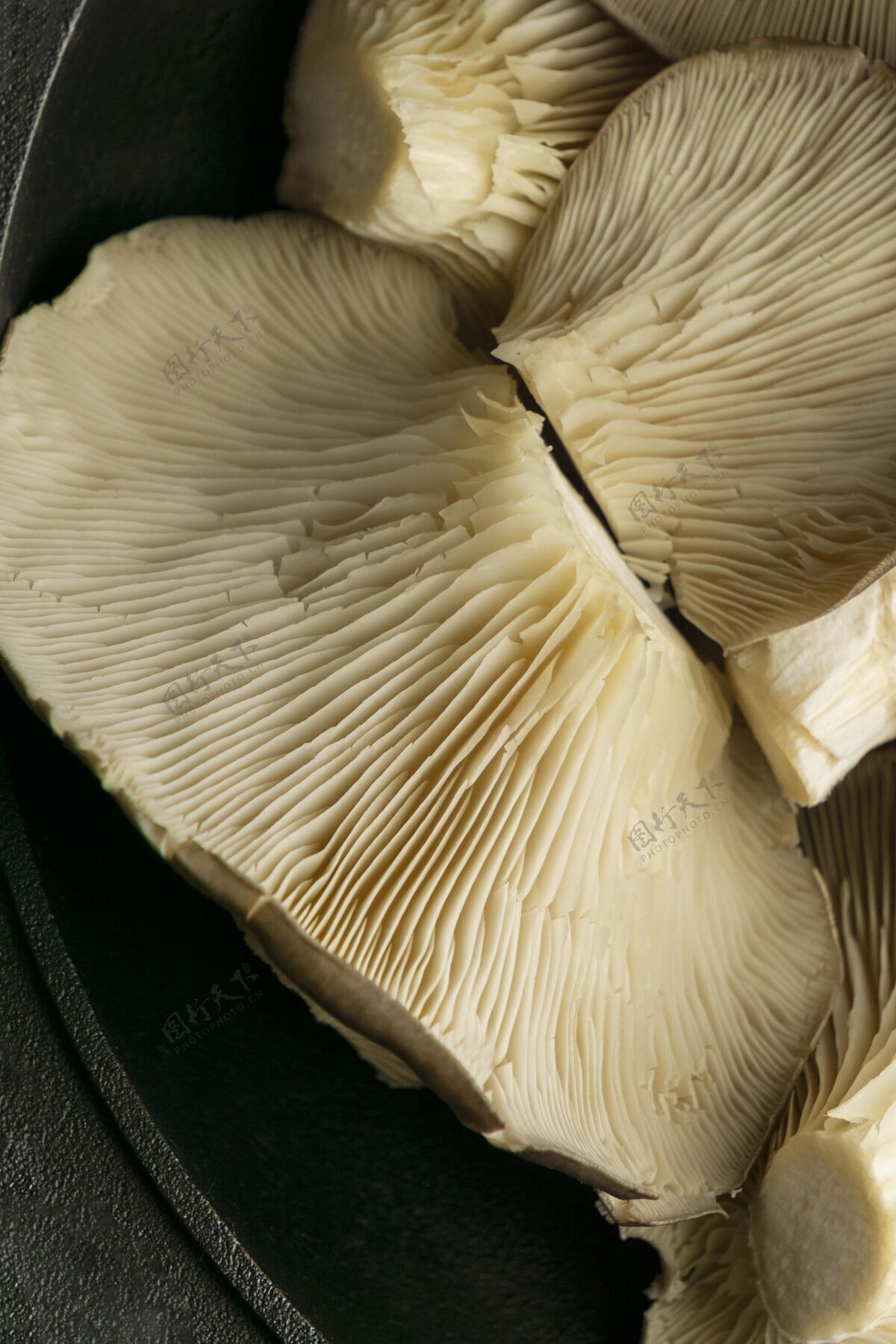 美食把蘑菇放进锅里俯视图细节美味