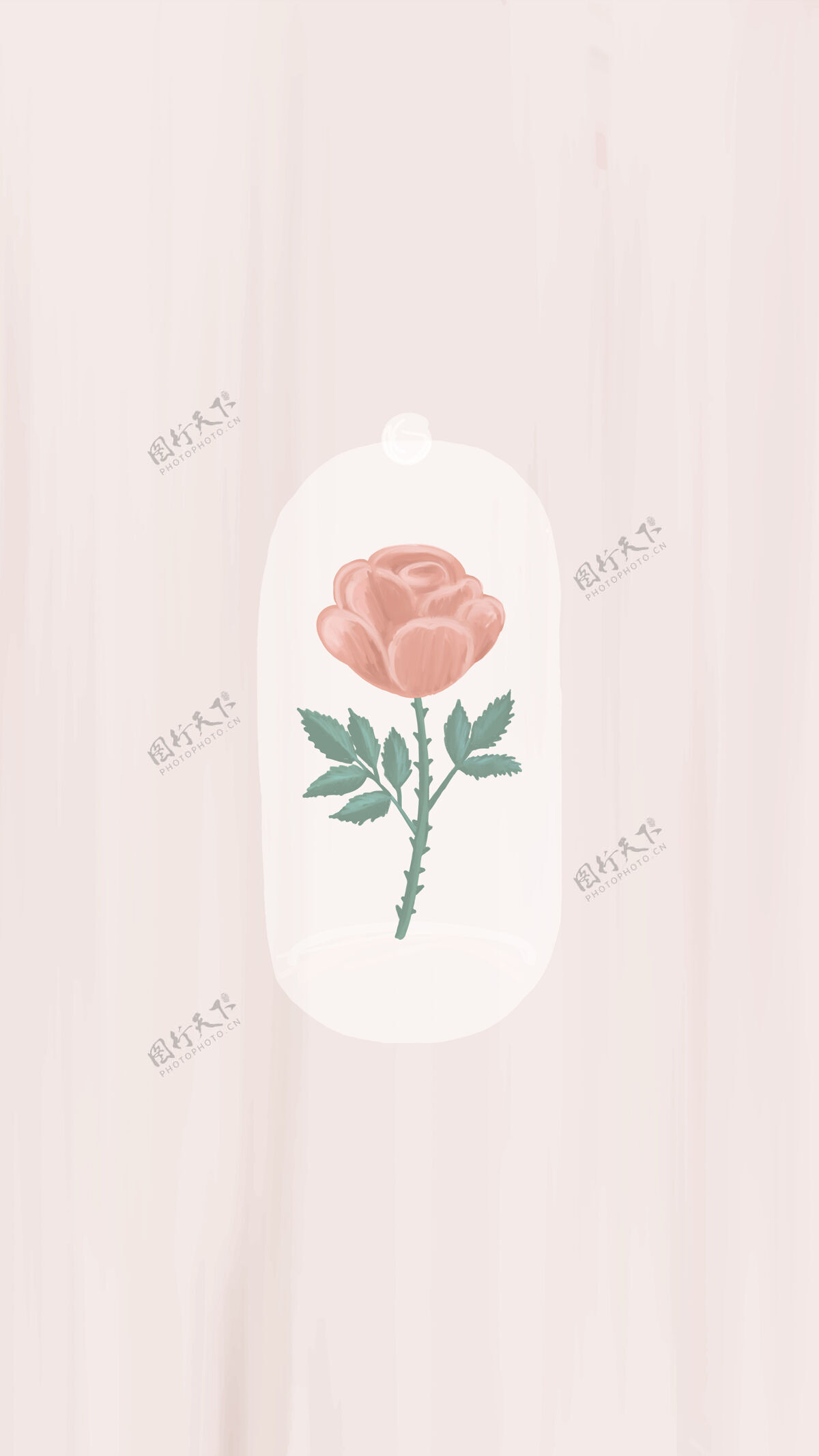 植物手绘玫瑰手机壁纸边框花卉叶子