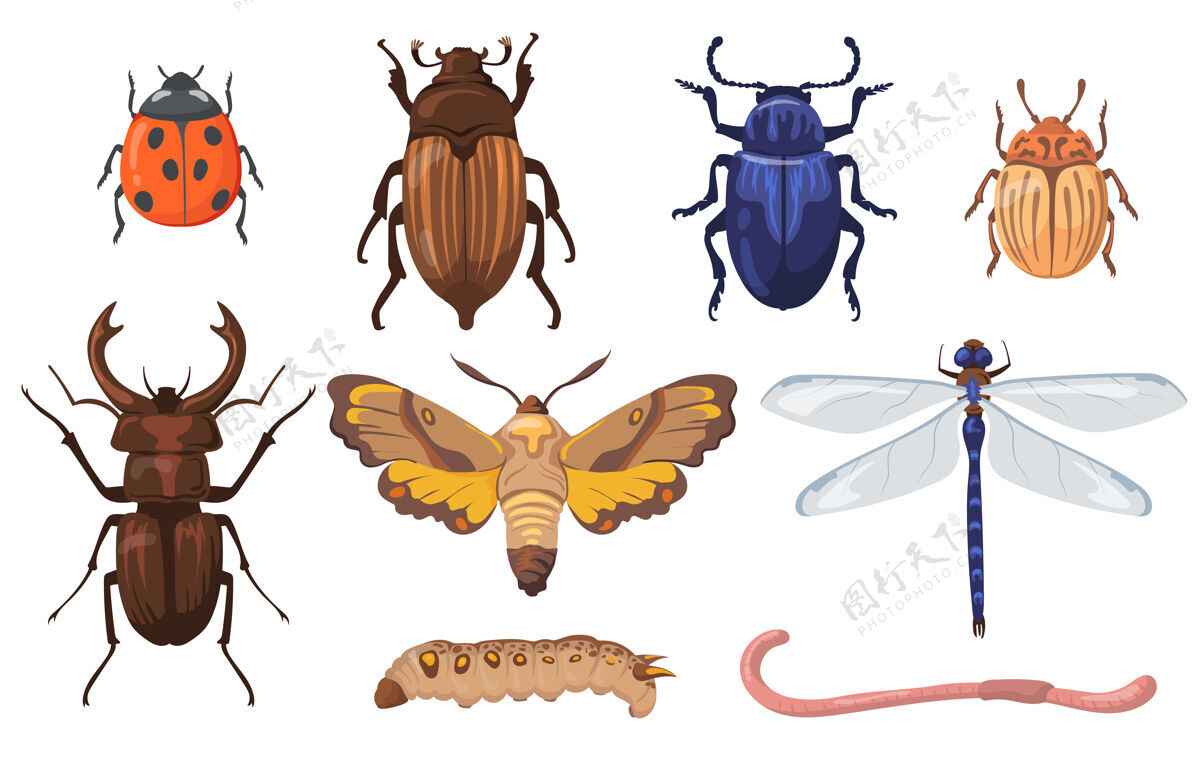 蜻蜓五颜六色不同的昆虫 蠕虫和虫子平面设置爬行动物领域蠕虫