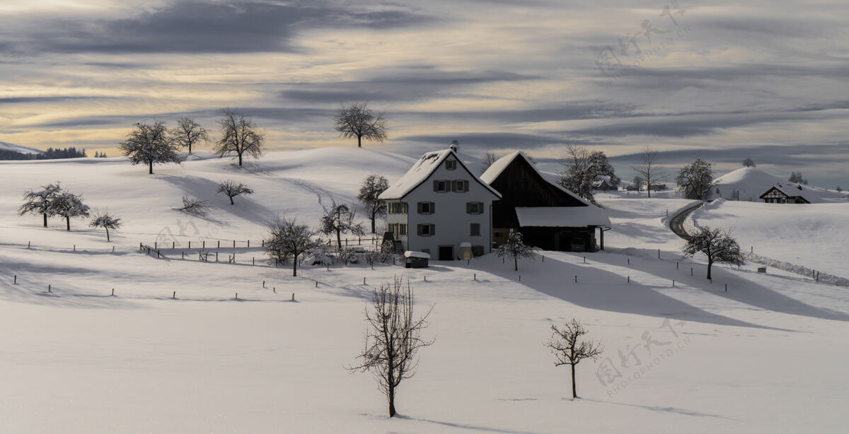 林地白天在白雪覆盖的地面上建造棕色的木屋冬天蔬菜乡村