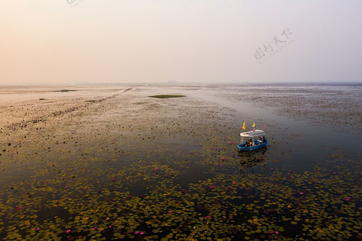 乌冬泰国莲花湖中一艘船的广角镜头池塘开花优雅