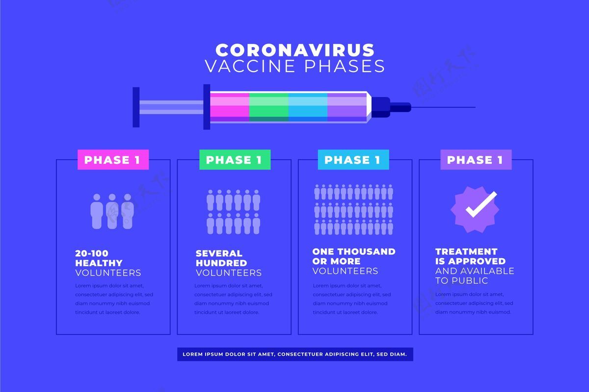 信息图冠状病毒疫苗阶段信息模板危险平面设计感染