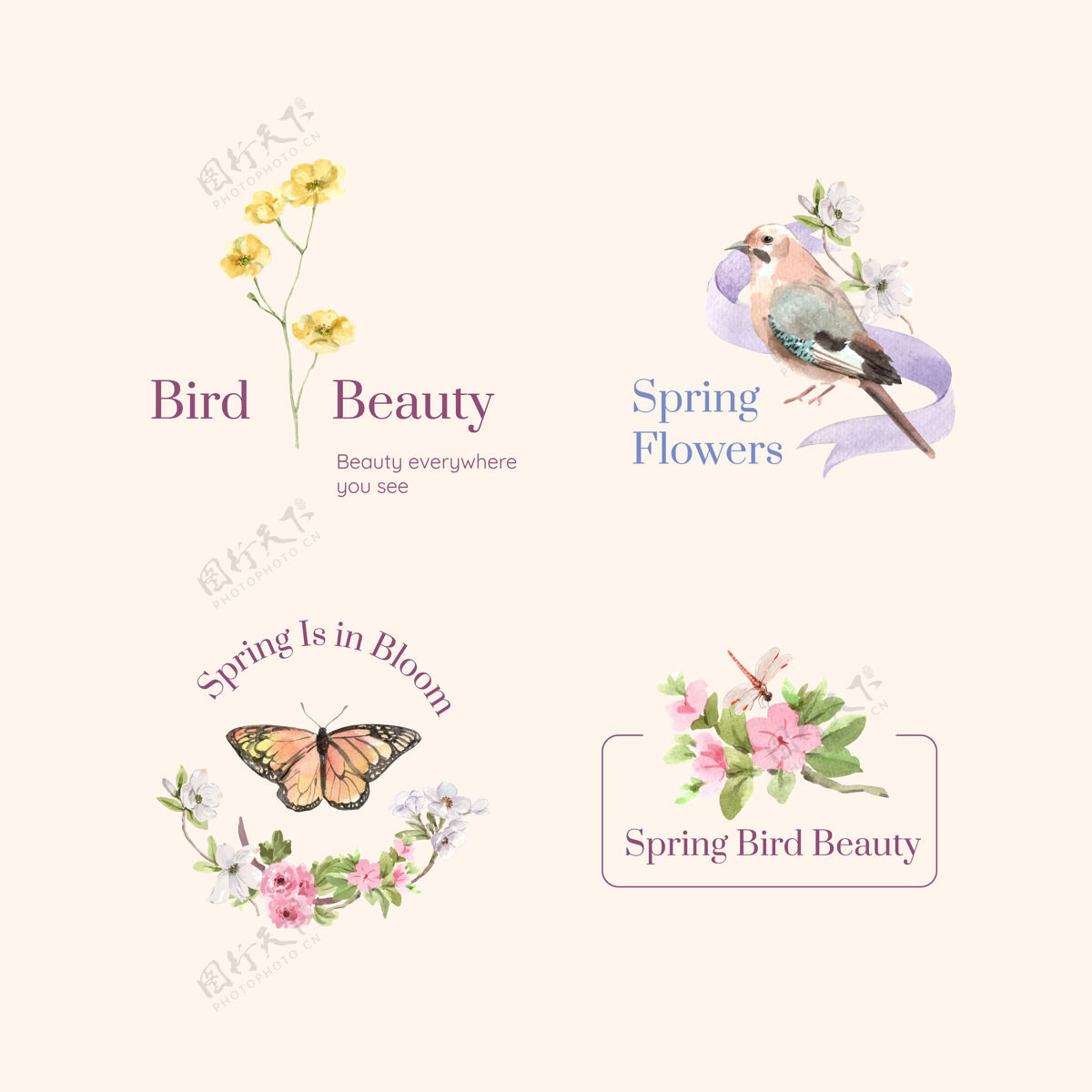 分支标志设计与春季和鸟类概念的品牌和营销水彩插图水彩营销蝴蝶