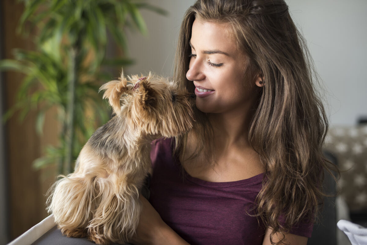 公寓快乐美丽的年轻女子与她的小狗合影积极的情绪玩女性